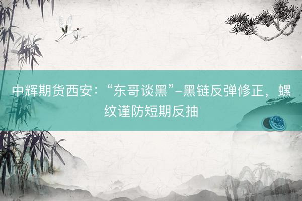 中辉期货西安：“东哥谈黑”-黑链反弹修正，螺纹谨防短期反抽