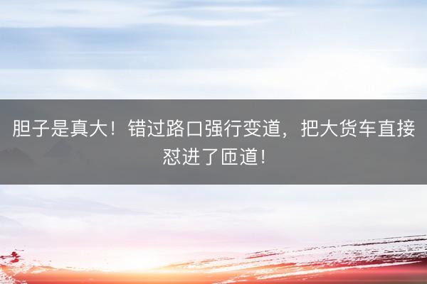 胆子是真大！错过路口强行变道，把大货车直接怼进了匝道！