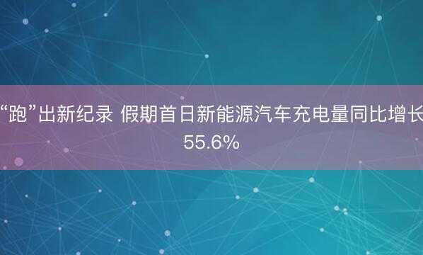 “跑”出新纪录 假期首日新能源汽车充电量同比增长55.6%
