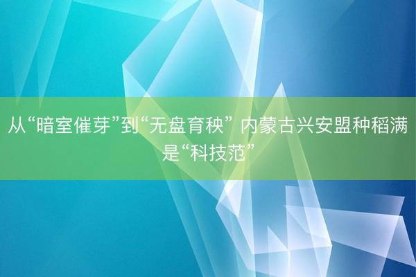 从“暗室催芽”到“无盘育秧” 内蒙古兴安盟种稻满是“科技范”