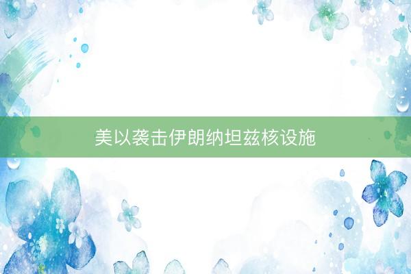 美以袭击伊朗纳坦兹核设施
