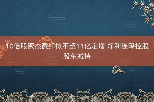 10倍股聚杰微纤拟不超11亿定增 净利连降控股股东减持