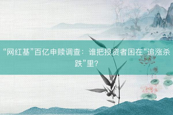 “网红基”百亿申赎调查：谁把投资者困在“追涨杀跌”里？