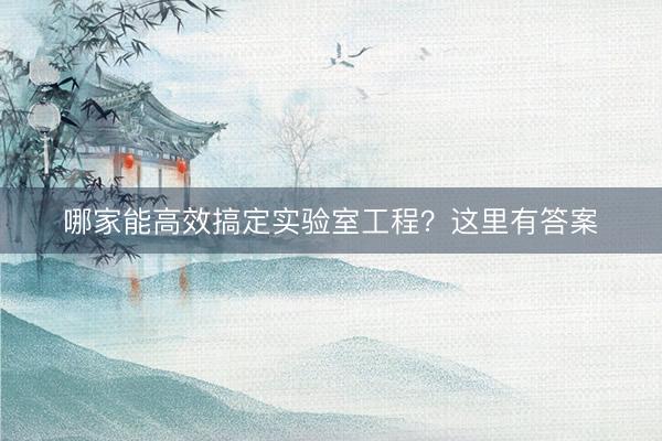 哪家能高效搞定实验室工程？这里有答案