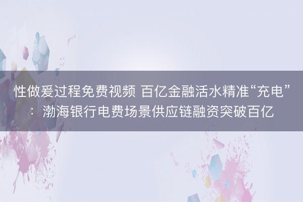 性做爰过程免费视频 百亿金融活水精准“充电”：渤海银行电费场景供应链融资突破百亿