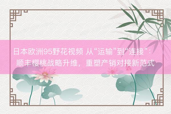 日本欧洲95野花视频 从“运输”到“连接”: 顺丰樱桃战略升维,重塑产销对接新范式