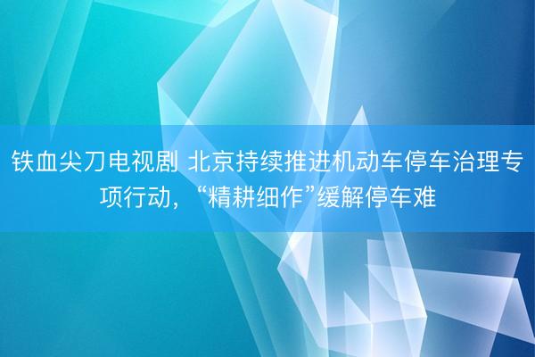 铁血尖刀电视剧 北京持续推进机动车停车治理专项行动，“精耕细作”缓解停车难