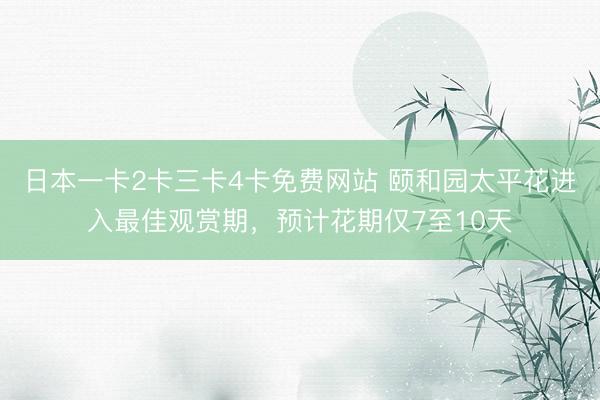 日本一卡2卡三卡4卡免费网站 颐和园太平花进入最佳观赏期，预计花期仅7至10天
