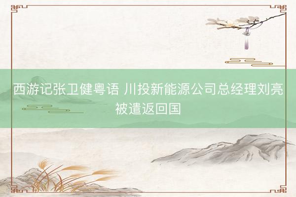 西游记张卫健粤语 川投新能源公司总经理刘亮被遣返回国