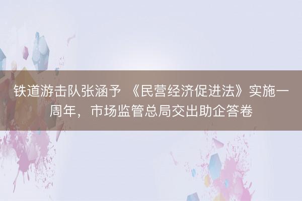 铁道游击队张涵予 《民营经济促进法》实施一周年，市场监管总局交出助企答卷