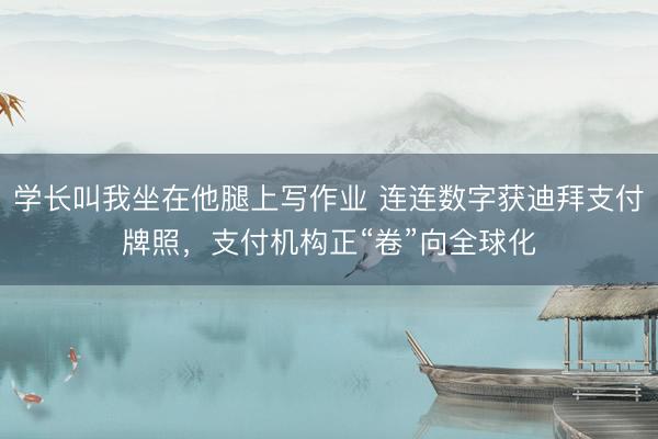 学长叫我坐在他腿上写作业 连连数字获迪拜支付牌照，支付机构正“卷”向全球化