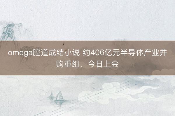 omega腔道成结小说 约406亿元半导体产业并购重组，今日上会