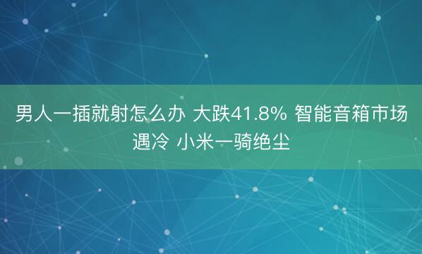 男人一插就射怎么办 大跌41.8% 智能音箱市场遇冷 小米一骑绝尘
