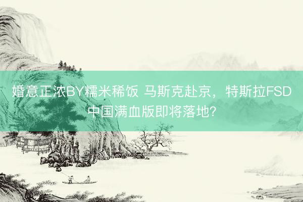 婚意正浓BY糯米稀饭 马斯克赴京,特斯拉FSD中国满血版即将落地?