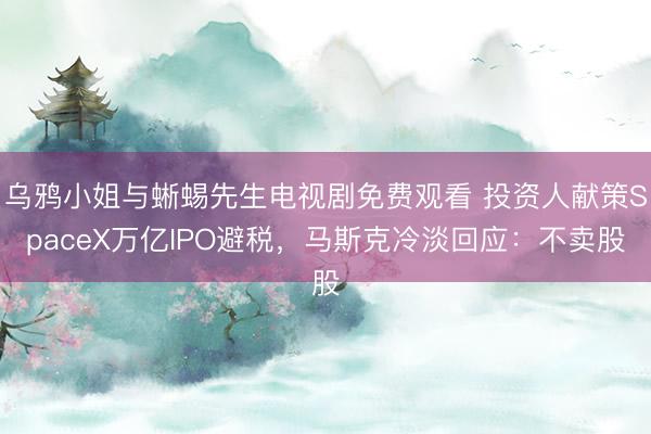 乌鸦小姐与蜥蜴先生电视剧免费观看 投资人献策SpaceX万亿IPO避税，马斯克冷淡回应：不卖股