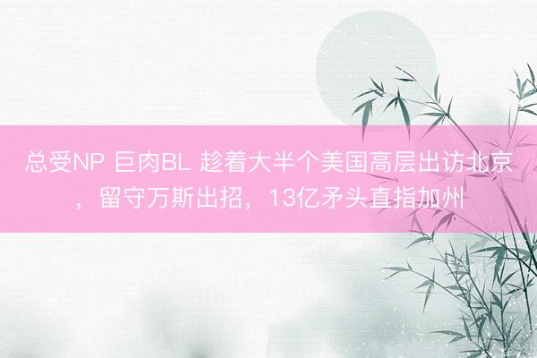 总受NP 巨肉BL 趁着大半个美国高层出访北京，留守万斯出招，13亿矛头直指加州
