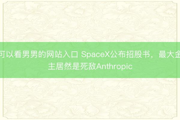 可以看男男的网站入口 SpaceX公布招股书，最大金主居然是死敌Anthropic