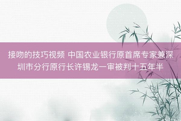 接吻的技巧视频 中国农业银行原首席专家兼深圳市分行原行长许锡龙一审被判十五年半