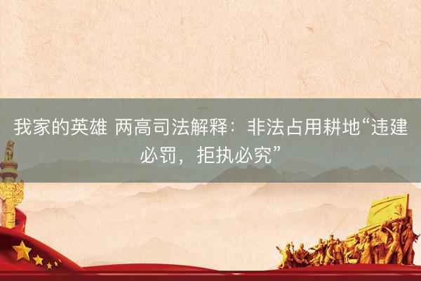 我家的英雄 两高司法解释：非法占用耕地“违建必罚，拒执必究”