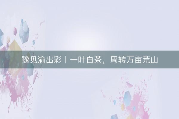 豫见渝出彩丨一叶白茶，周转万亩荒山