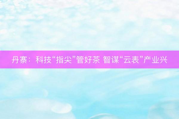 丹寨：科技“指尖”管好茶 智谋“云表”产业兴