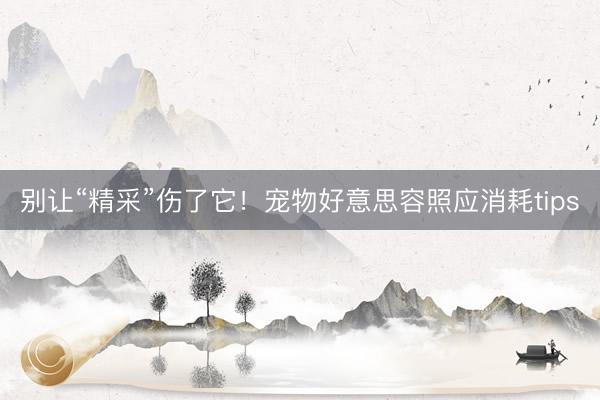 别让“精采”伤了它！宠物好意思容照应消耗tips