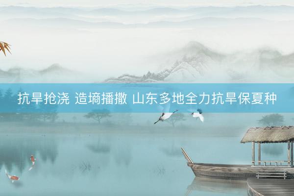 抗旱抢浇 造墒播撒 山东多地全力抗旱保夏种