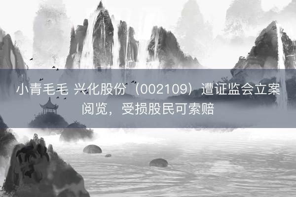 小青毛毛 兴化股份（002109）遭证监会立案阅览，受损股民可索赔