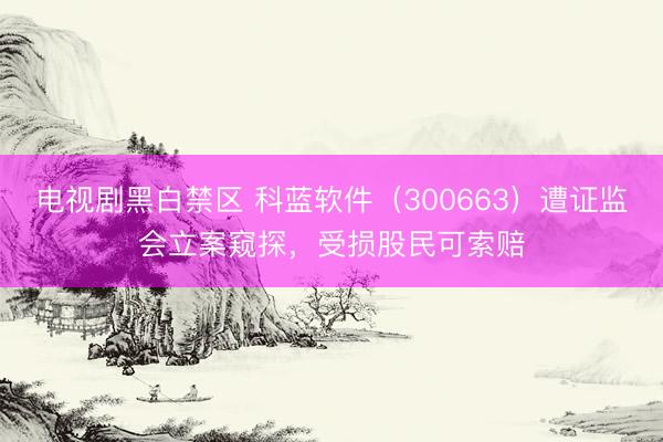 电视剧黑白禁区 科蓝软件（300663）遭证监会立案窥探，受损股民可索赔