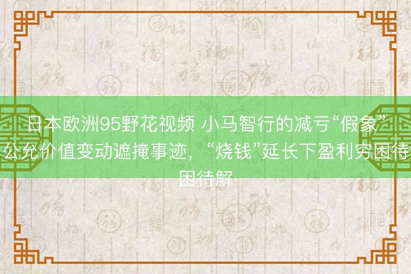 日本欧洲95野花视频 小马智行的减亏“假象”：公允价值变动遮掩事迹，“烧钱”延长下盈利穷困待解