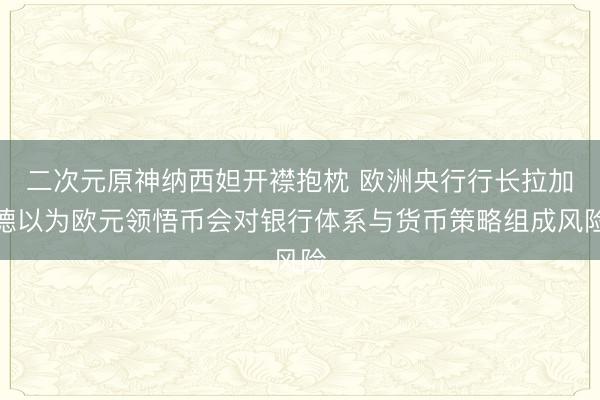 二次元原神纳西妲开襟抱枕 欧洲央行行长拉加德以为欧元领悟币会对银行体系与货币策略组成风险