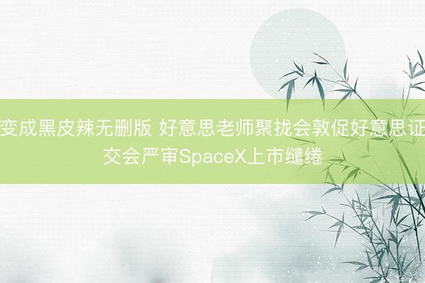 变成黑皮辣无删版 好意思老师聚拢会敦促好意思证交会严审SpaceX上市缱绻