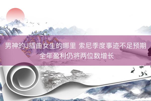 男神的J插曲女生的哪里 索尼季度事迹不足预期 全年盈利仍将两位数增长