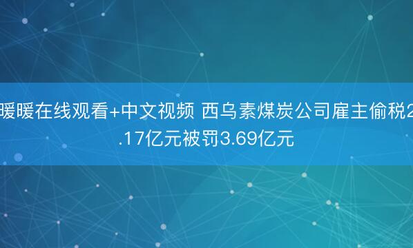 暖暖在线观看+中文视频 西乌素煤炭公司雇主偷税2.17亿元被罚3.69亿元