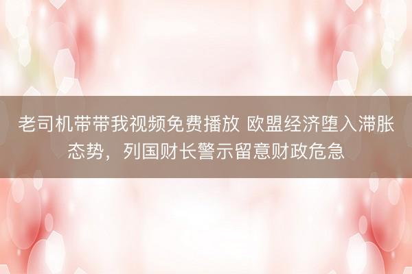 老司机带带我视频免费播放 欧盟经济堕入滞胀态势，列国财长警示留意财政危急
