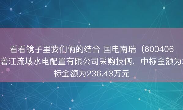 看看镜子里我们俩的结合 国电南瑞（600406）：中标雅砻江流域水电配置有限公司采购技俩，中标金额为236.43万元