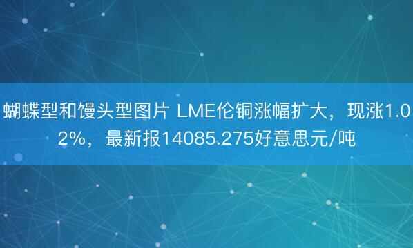 蝴蝶型和馒头型图片 LME伦铜涨幅扩大，现涨1.02%，最新报14085.275好意思元/吨
