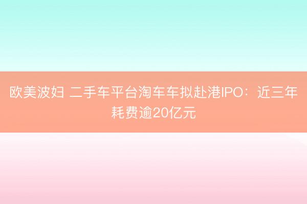 欧美波妇 二手车平台淘车车拟赴港IPO：近三年耗费逾20亿元
