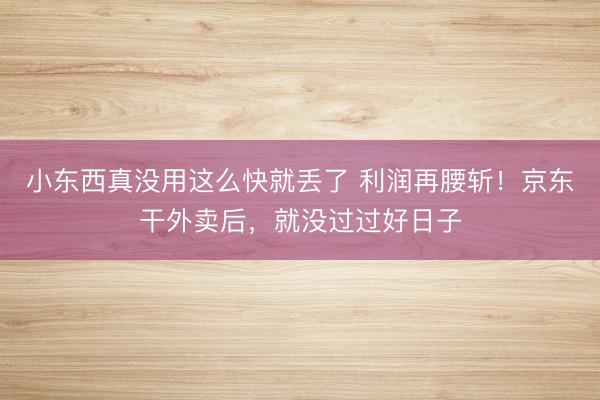 小东西真没用这么快就丢了 利润再腰斩！京东干外卖后，就没过过好日子