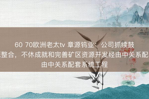 60 70欧洲老太tv 章源钨业：公司抓续鼓动矿山资源整合，不休成就和完善矿区资源开发经由中关系配套系统工程