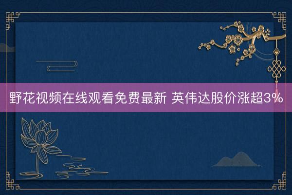 野花视频在线观看免费最新 英伟达股价涨超3%