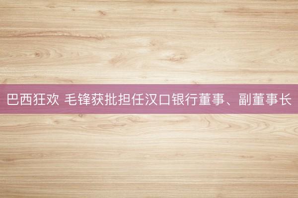 巴西狂欢 毛锋获批担任汉口银行董事、副董事长