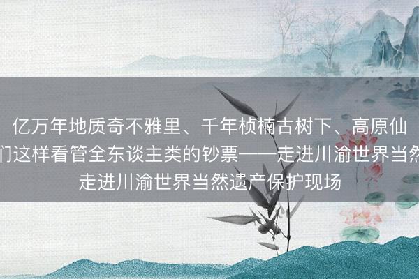 亿万年地质奇不雅里、千年桢楠古树下、高原仙境彩池边，他们这样看管全东谈主类的钞票——走进川渝世界当然遗产保护现场